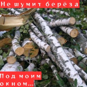bXFUHdcRSX3UMb0XMYDQWuYs5ORDY8C3Y6DkolFHza_WClSru1TenCeZAPn6aXZ8fyltLIuBnsC7DVcFy5mqnVMX