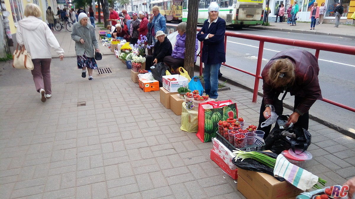 В Рыбинске будут бороться с бабушками, которые продают овощи со своего огорода