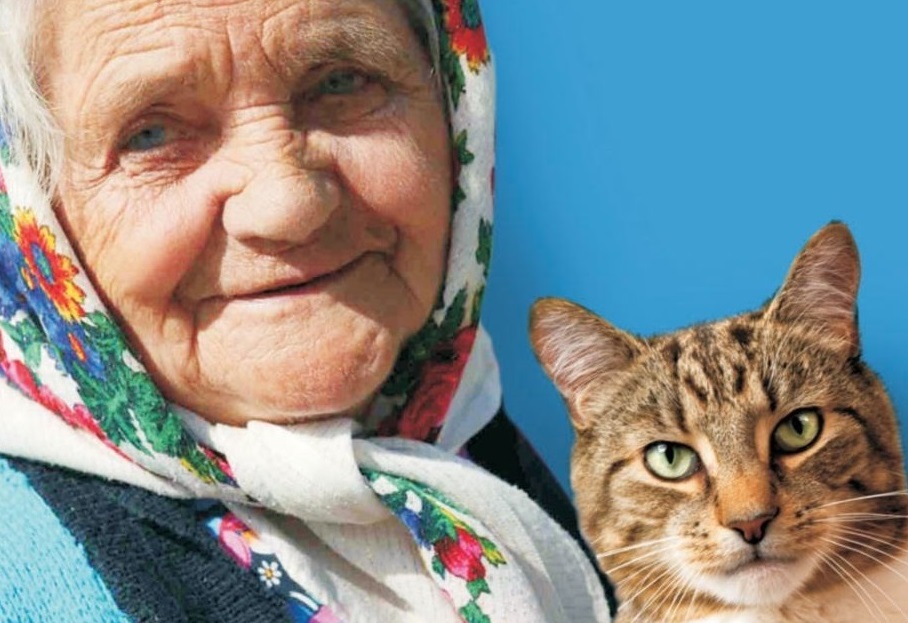Государство приравнивает по содержанию одного пенсионера к полутора кошкам