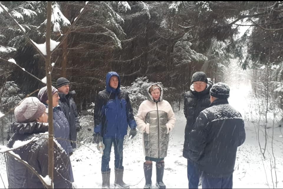 По запросу депутатов от КПРФ была организована проверка по факту рубки лесного массива в районе Красных Ткачей