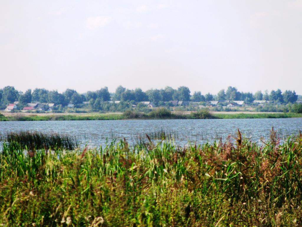 Яхробольское озеро может исчезнуть