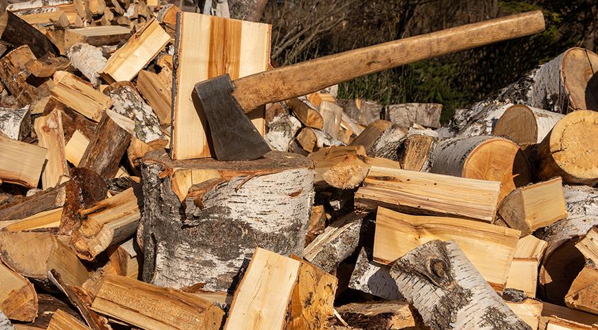 Пришел ответ от губернатора по обеспечению дровами жителей Первомайского района