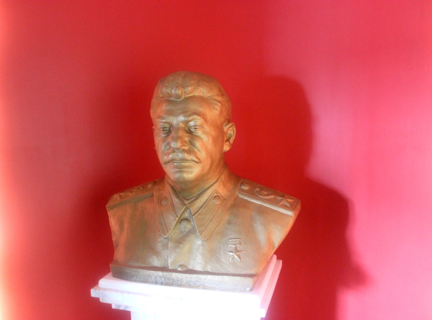 Красные гвоздики к бюсту И. В. Сталина