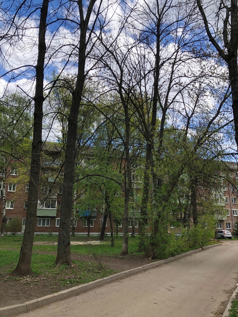 Депутат Елена Кузнецова решила вопрос с опиловкой сухих деревьев в Ленинском районе