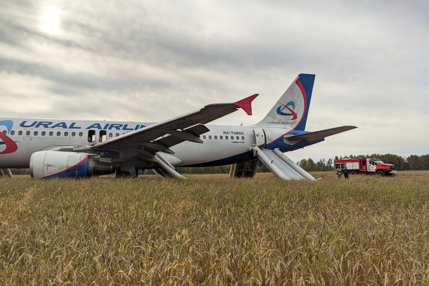 «Уральские авиалинии» хотят лишить лицензии после посадки Airbus в поле