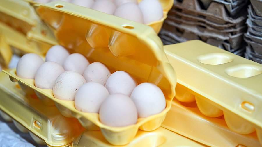 Яйца в Россию будут поставлять из Турции