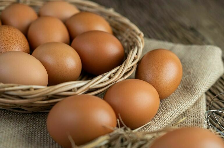 Куриные яйца не подешевеют